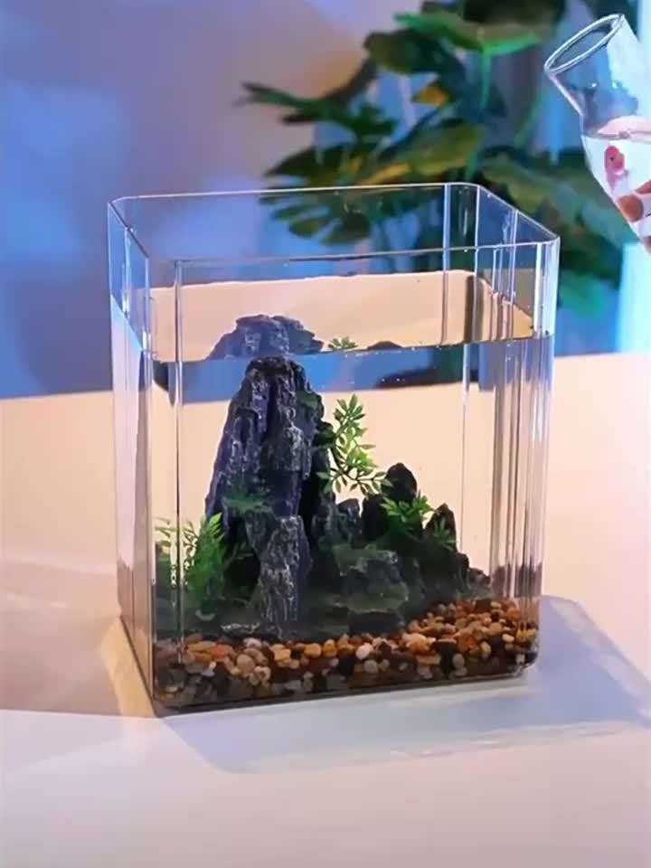 Aquarium de bureau - Aquarium en acrylique ultra-transparent pour poissons rouges, petits animaux et tortues, décoration idéale pour le bureau