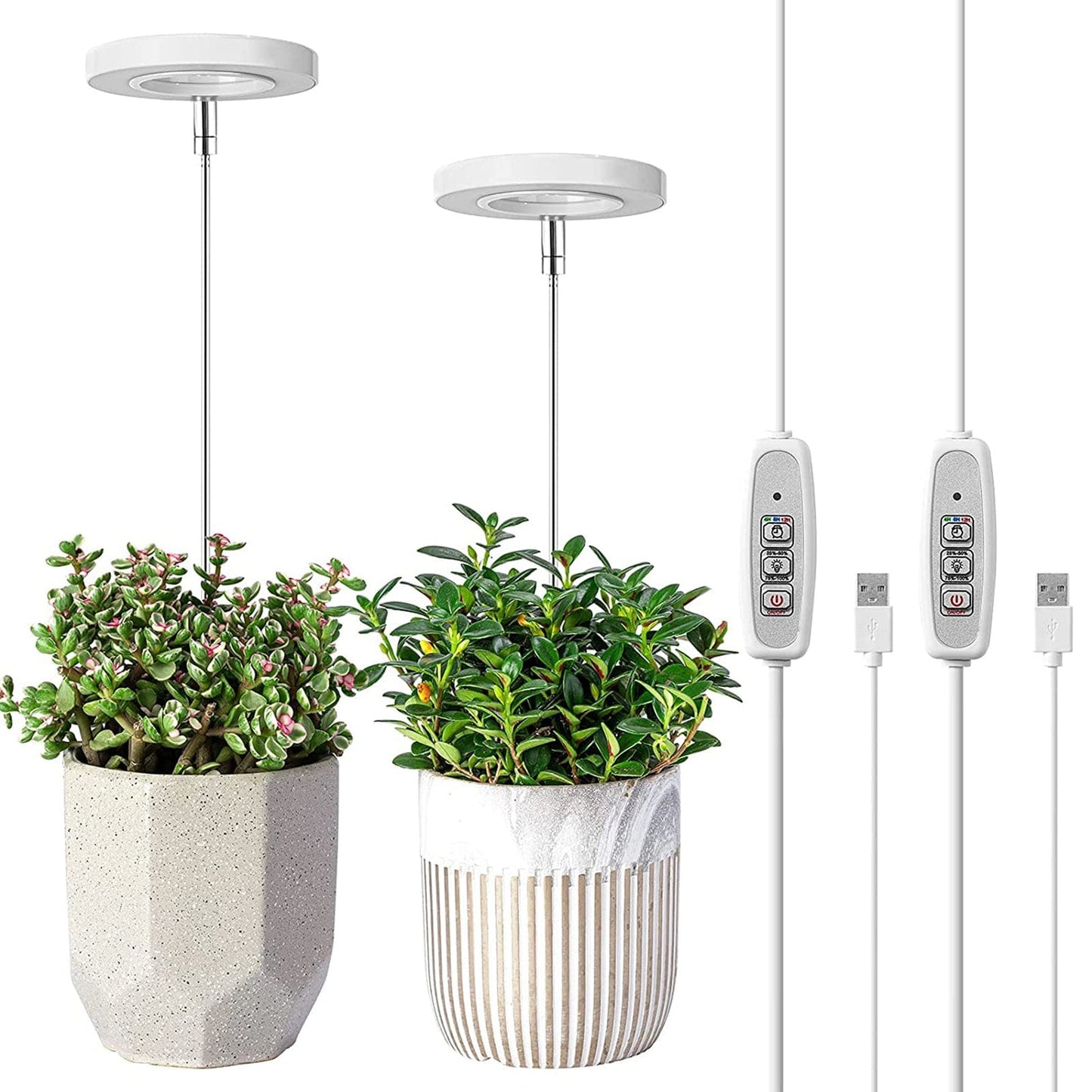 Lampe de croissance LED à spectre complet avec support réglable pour plantes d'intérieur