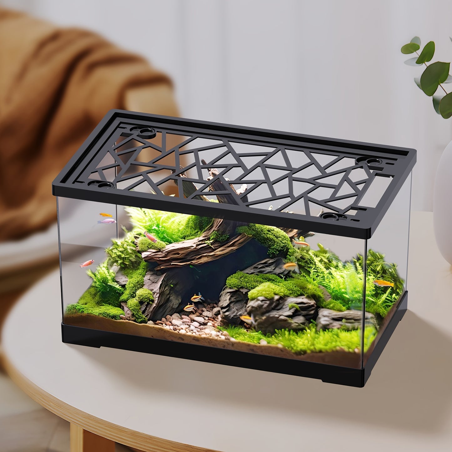 5-Gallon Fish Tank with Lid for Home & Office, Ideal for Turtles, Shrimp, Goldfish, Frogs