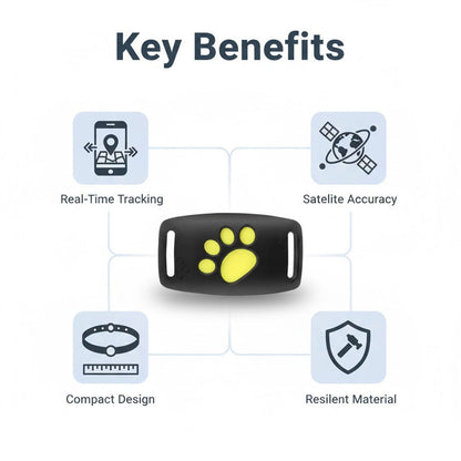 GPS Katzenhalsband - Suivi électronique - Satellitentechnologie