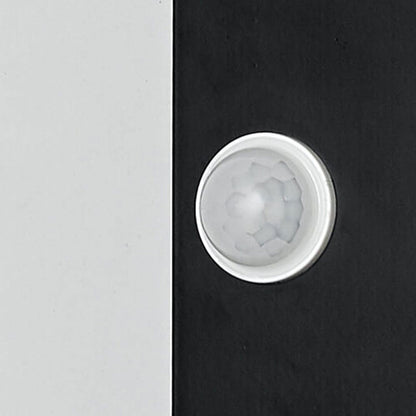 Wireless Motion Sensor LED Wall Light for Indoor & Outdoor Security