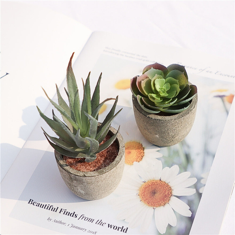 Plante succulente artificielle réaliste pour la décoration de la maison et du bureau