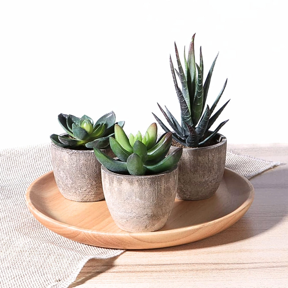 Plante succulente artificielle réaliste pour la décoration de la maison et du bureau