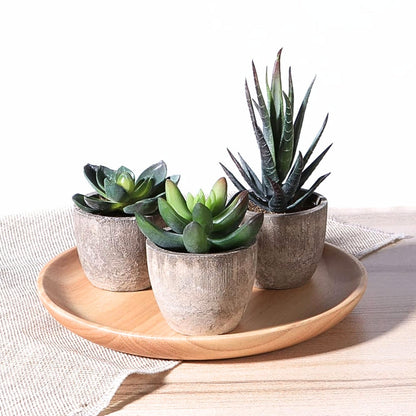 Plante succulente artificielle réaliste pour la décoration de la maison et du bureau
