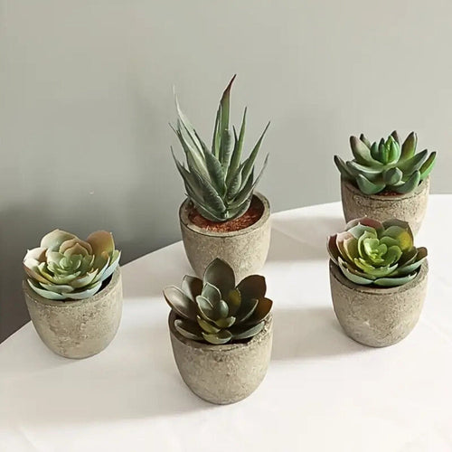 Plante succulente artificielle réaliste pour la décoration de la maison et du bureau
