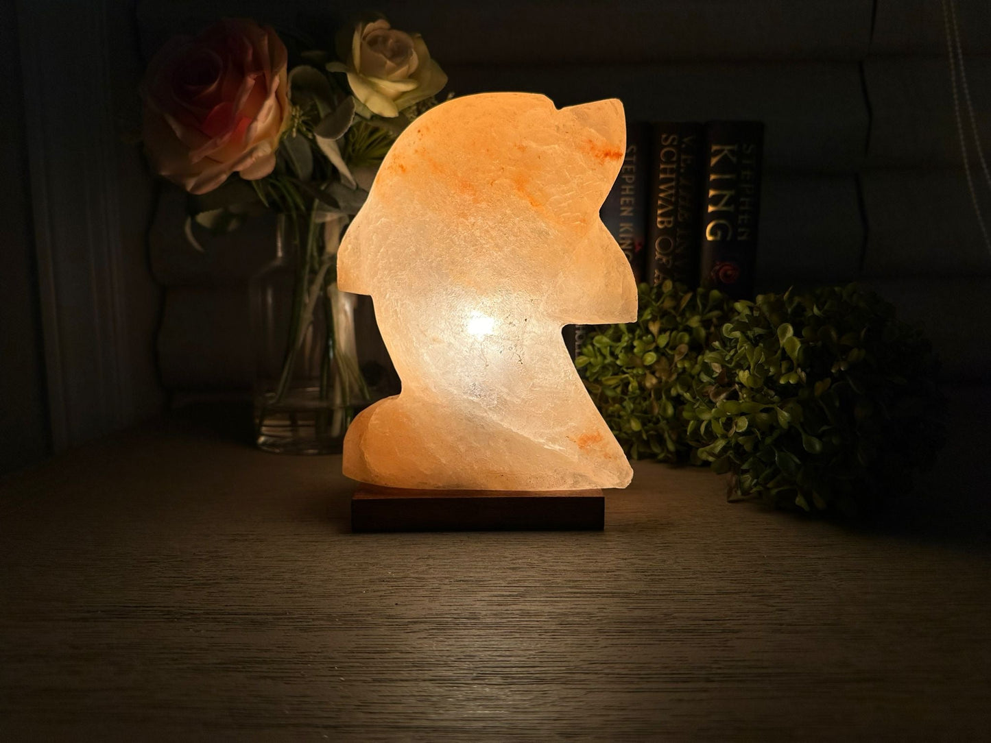 Lampe de sel naturel de l'Himalaya - Veilleuse décorative en forme de dauphin pour la maison et le bien-être