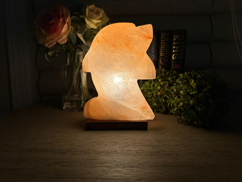 Lampe de sel naturel de l'Himalaya - Veilleuse décorative en forme de dauphin pour la maison et le bien-être