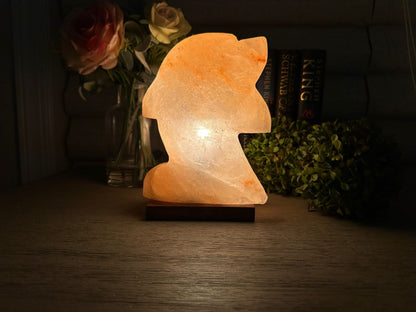 Lampe de sel naturel de l'Himalaya - Veilleuse décorative en forme de dauphin pour la maison et le bien-être