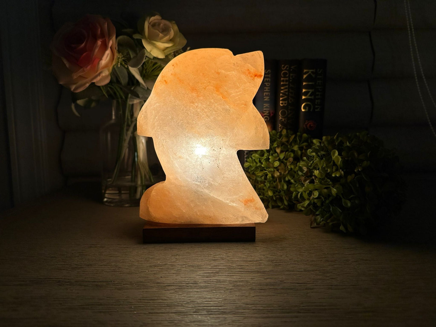 Lampe de sel naturel de l'Himalaya - Veilleuse décorative en forme de dauphin pour la maison et le bien-être