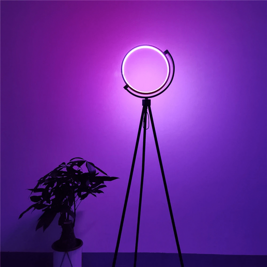 Lampe d'ambiance LED à couleurs changeantes pour la décoration intérieure et veilleuse
