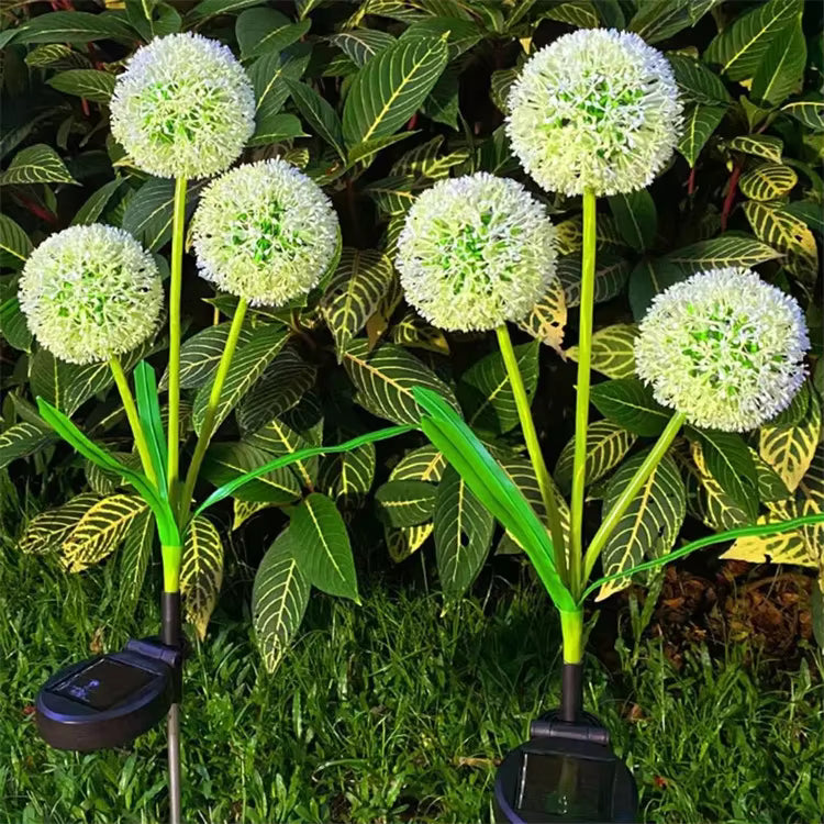 Lampes solaires de jardin à LED colorées – Décoration étanche pour allée de pissenlits