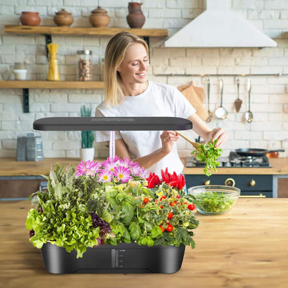 Kit de jardin hydroponique d'intérieur | Système de culture à 12 capsules pour le jardinage à domicile