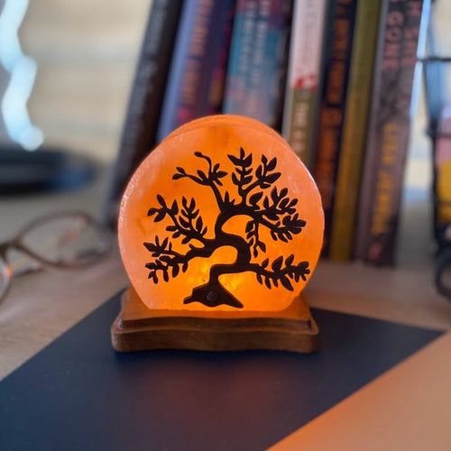 Lampe de sel de l'Himalaya avec prise USB pour la relaxation et l'éclairage d'ambiance