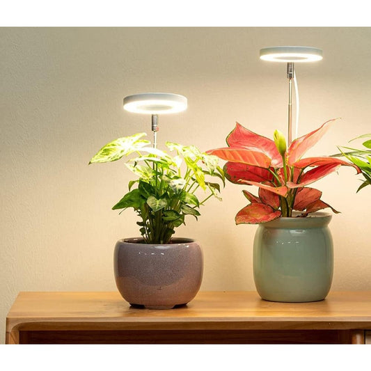 Lampe de croissance LED à spectre complet avec support réglable pour plantes d'intérieur