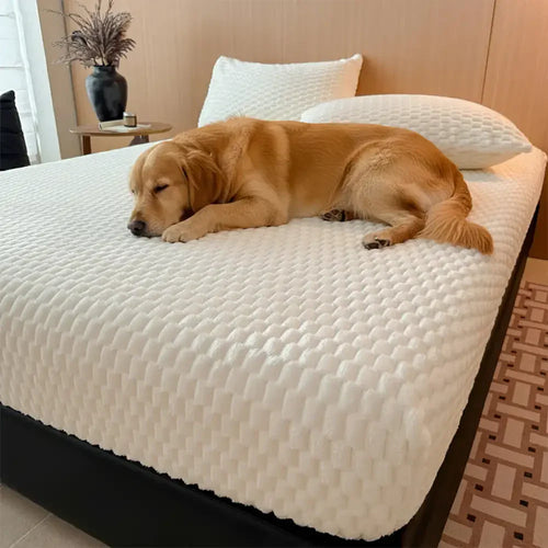 Ensemble de literie avec protège-matelas ajusté en peluche douce et hypoallergénique (Royaume-Uni)