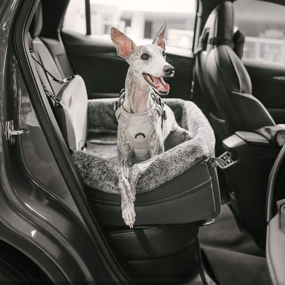 All-Season Dog Car Seat Bed for Travel Safety - Pet Booster Seat