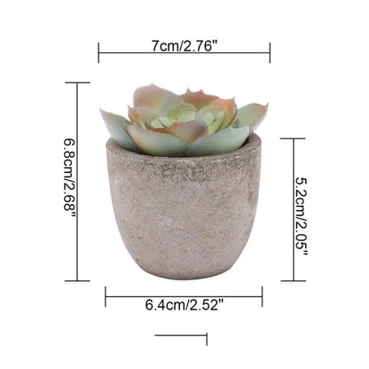 Plante succulente artificielle réaliste pour la décoration de la maison et du bureau