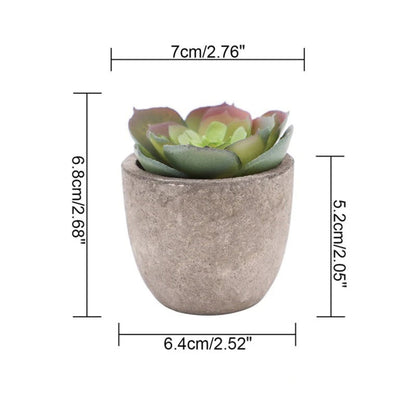 Plante succulente artificielle réaliste pour la décoration de la maison et du bureau