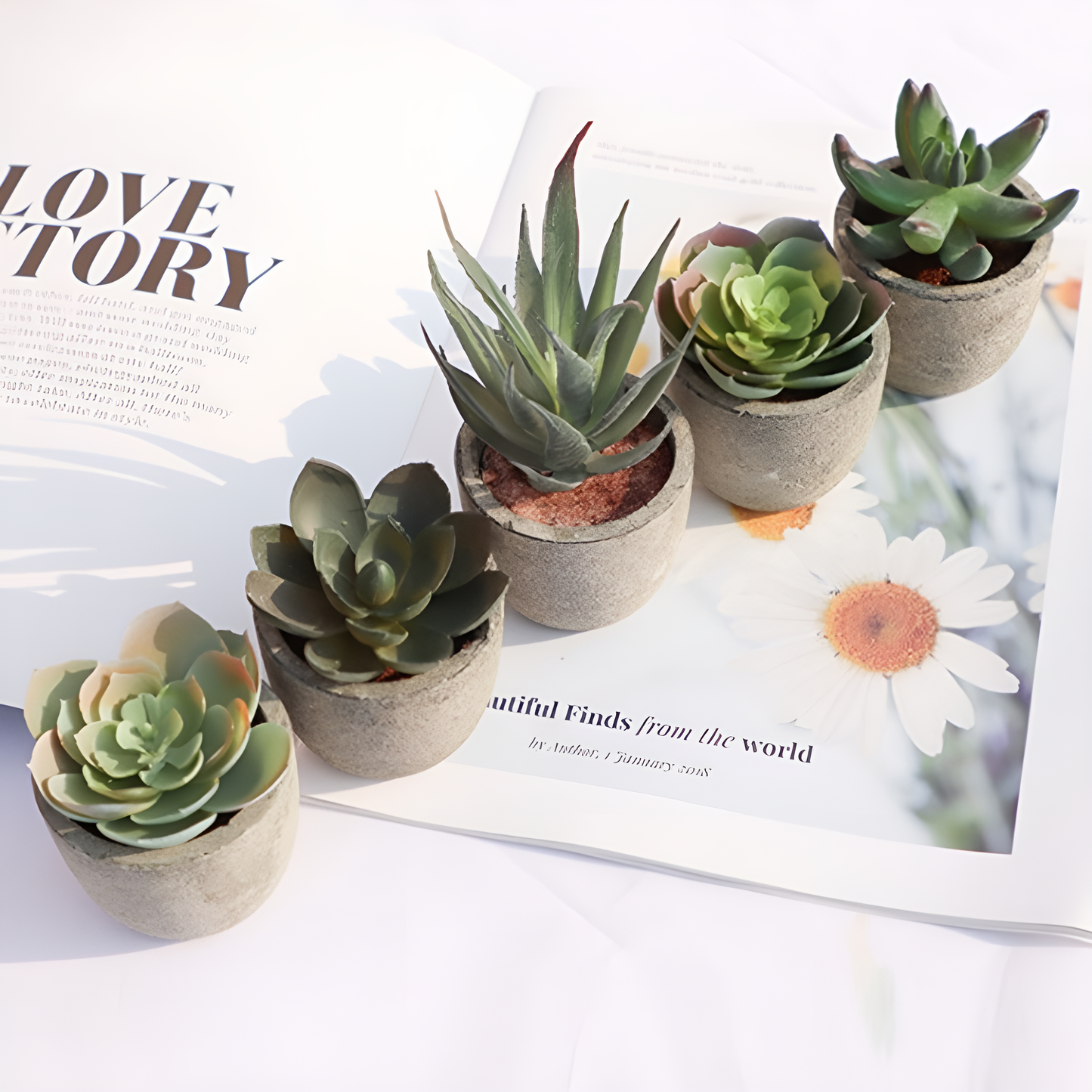 Plante succulente artificielle réaliste pour la décoration de la maison et du bureau