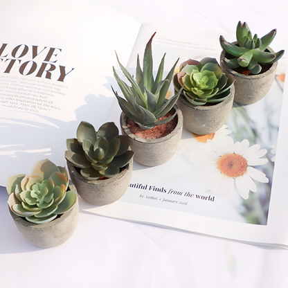 Plante succulente artificielle réaliste pour la décoration de la maison et du bureau