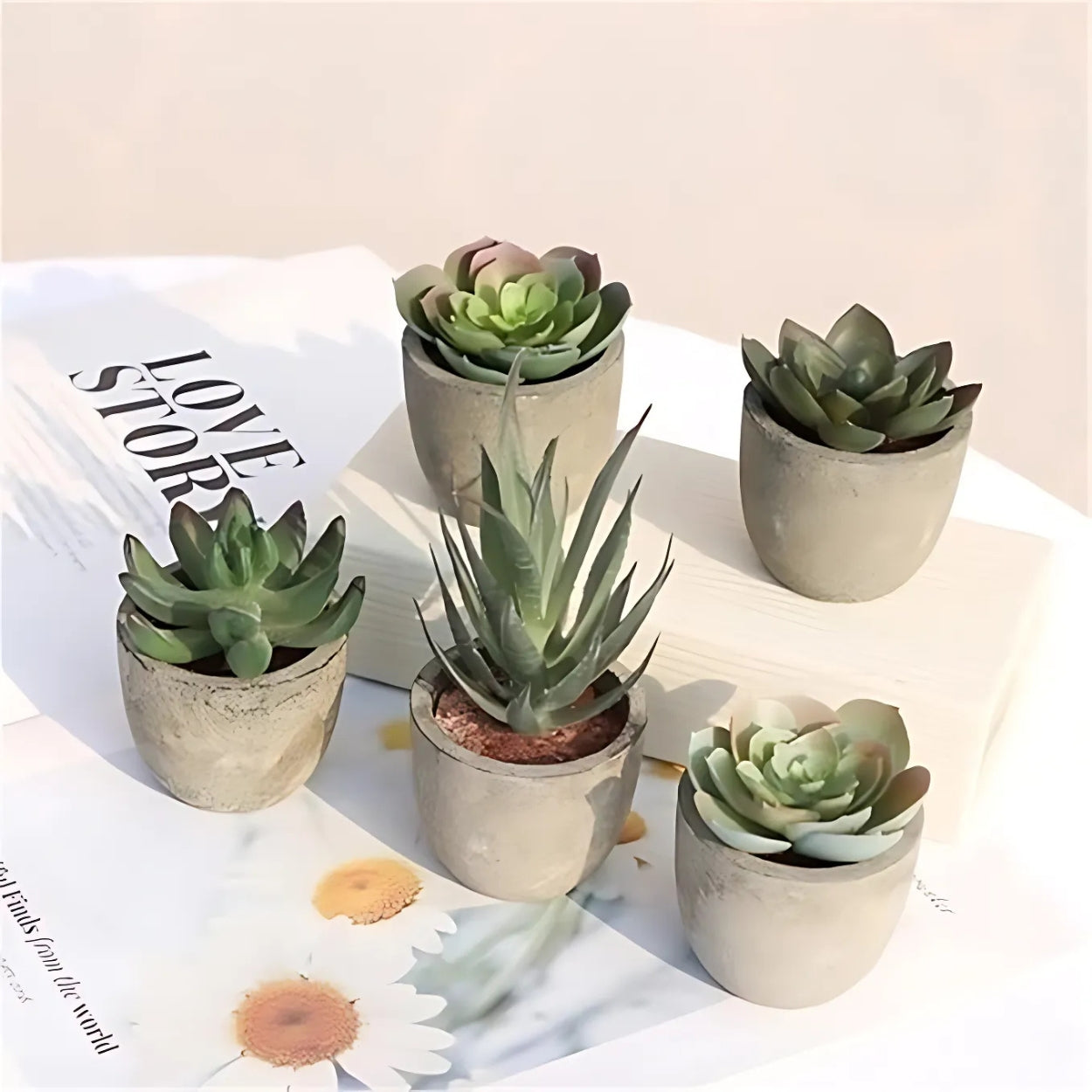 Plante succulente artificielle réaliste pour la décoration de la maison et du bureau