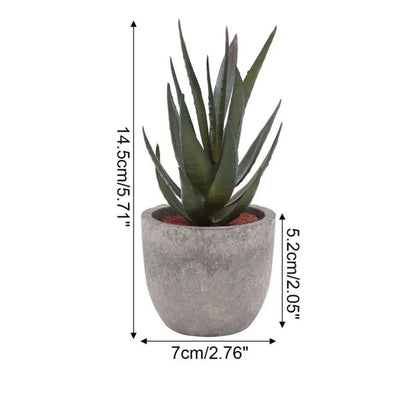 Plante succulente artificielle réaliste pour la décoration de la maison et du bureau