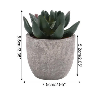 Plante succulente artificielle réaliste pour la décoration de la maison et du bureau