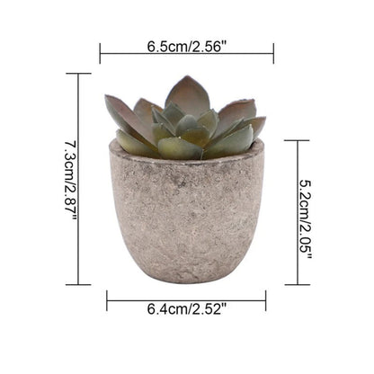 Plante succulente artificielle réaliste pour la décoration de la maison et du bureau