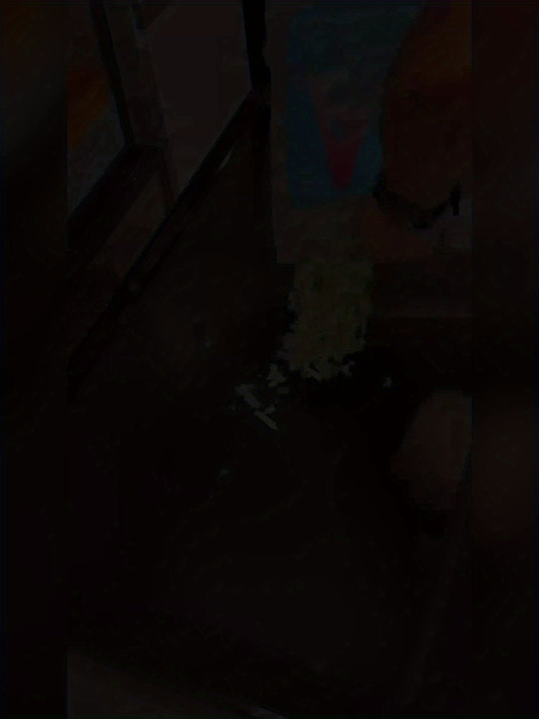 Grande cage pour hamster avec accès par le haut - Montage facile - Petit habitat pour hamsters