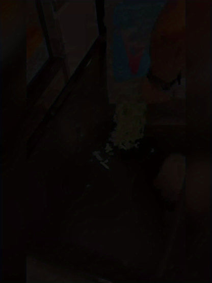 Grande cage pour hamster avec accès par le haut - Montage facile - Petit habitat pour hamsters