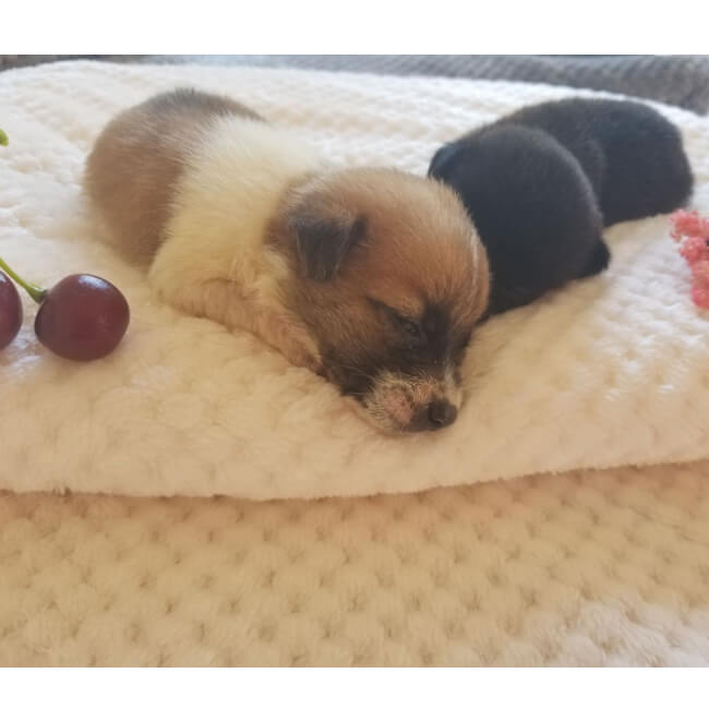 Plaid en flanelle de coton doux pour un confort douillet à la maison