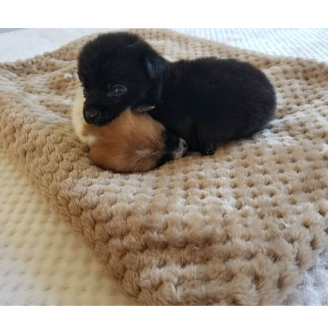 Plaid en flanelle de coton doux pour un confort douillet à la maison