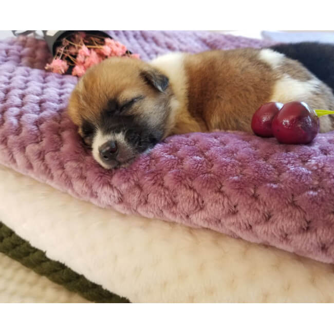 Plaid en flanelle de coton doux pour un confort douillet à la maison