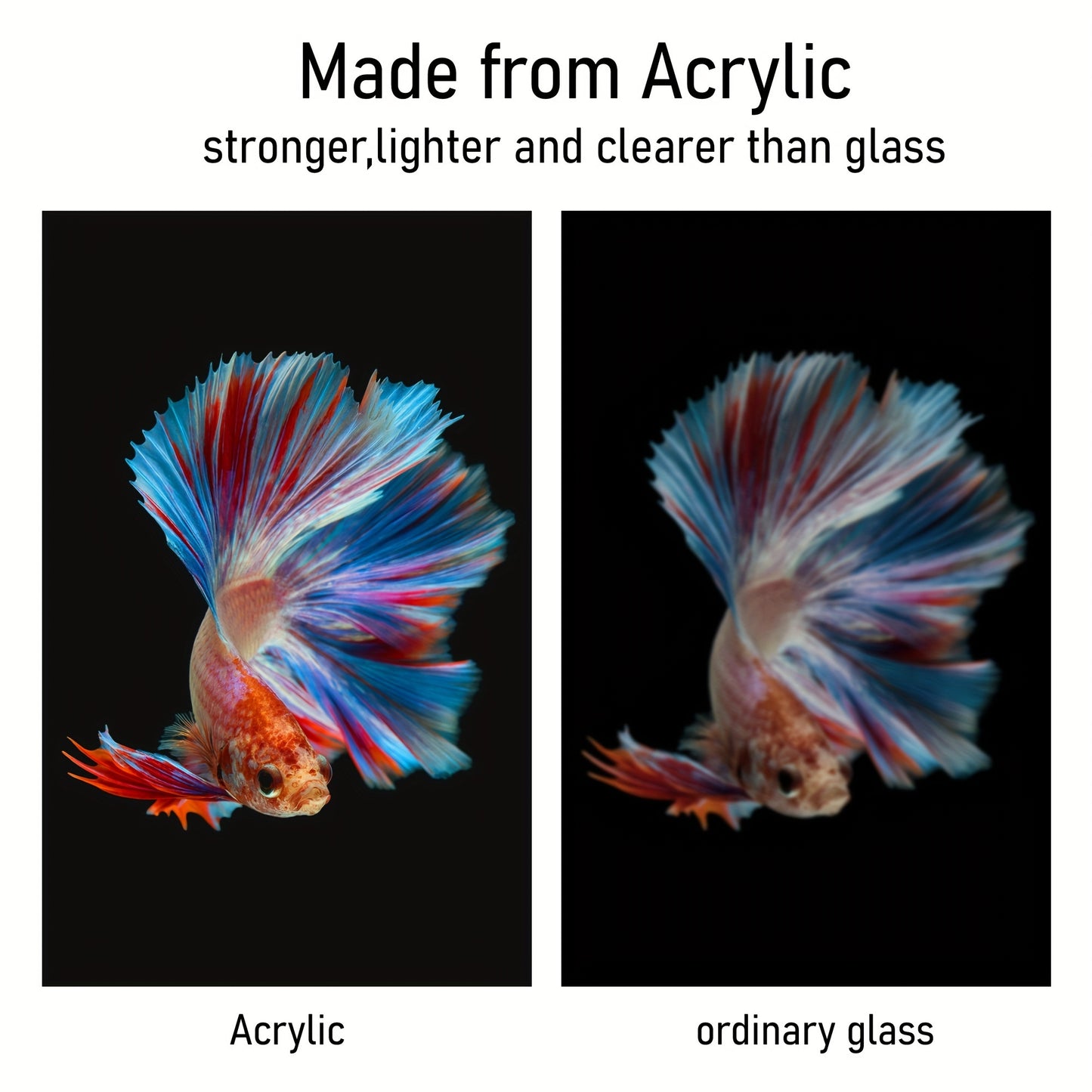 Grand aquarium en acrylique avec support - Aquarium élégant pour betta avec vue transparente, conception durable pour la maison ou le bureau