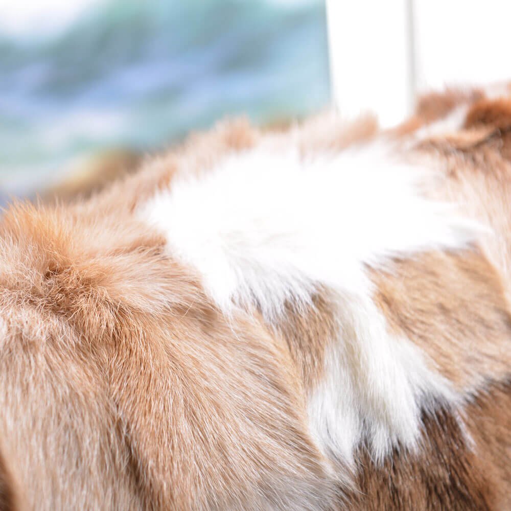 Coussin lombaire décoratif en fausse fourrure douce - 45 x 45 cm pour canapé