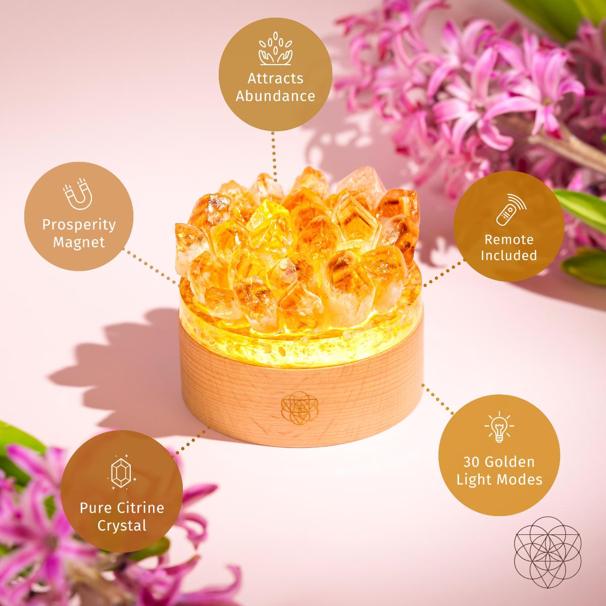 Lampe de nuit Midas Citrine de luxe - Décoration élégante pour le salon et la chambre